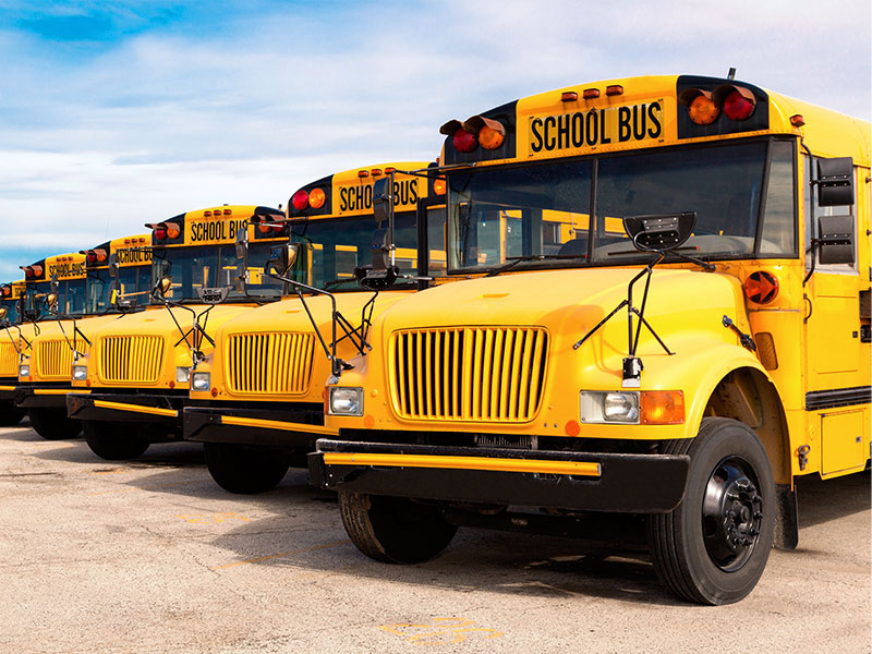 A row of school buses.
